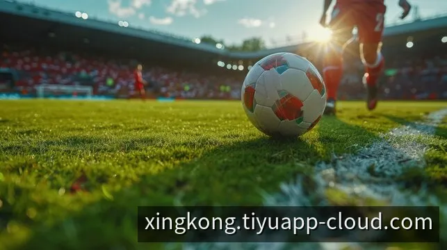 星空官方服务支持团队与网络运维中心